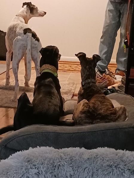 winnie kroge n 1.jpg